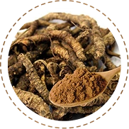 Kutki Powder